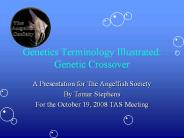 Genetics%20Terminology%20Illustrated:%20Genetic%20Crossover