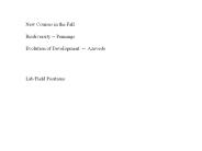 New Courses in the Fall