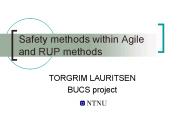 Safety methods within Agile and RUP methods