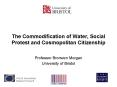 The Commodification of Water, Social Protest and Cosmopolitan Citizenship PowerPoint PPT Presentation