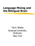Language Mixing and the Bilingual Brain PowerPoint PPT Presentation