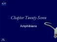 Chapter Twenty-Seven PowerPoint PPT Presentation