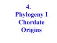 4. Phylogeny I Chordate Origins PowerPoint PPT Presentation