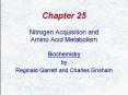 Nitrogen Acquisition and PowerPoint PPT Presentation