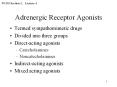 Adrenergic Receptor Agonists PowerPoint PPT Presentation