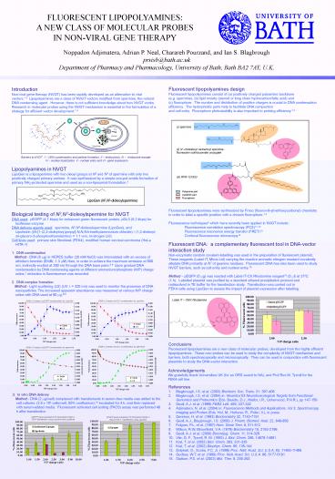 FLUORESCENT LIPOPOLYAMINES: