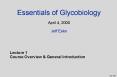 Essentials of Glycobiology April 4, 2000 Jeff Esko PowerPoint PPT Presentation