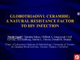 GLOBOTRIAOSYL CERAMIDE: A NATURAL RESISTANCE FACTOR TO HIV INFECTION PowerPoint PPT Presentation