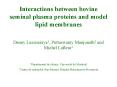 Interactions between bovine seminal plasma proteins and model lipid membranes PowerPoint PPT Presentation