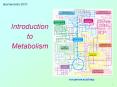 3070 Lecture - Vitamins PowerPoint PPT Presentation