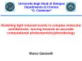Modelling light induced events in complex molecular architectures: moving towards an accurate comput PowerPoint PPT Presentation