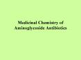 Medicinal Chemistry of Aminoglycoside Antibiotics PowerPoint PPT Presentation