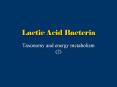 Lactic Acid Bacteria PowerPoint PPT Presentation