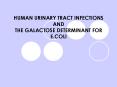 HUMAN URINARY TRACT INFECTIONS AND THE GALACTOSE DETERMINANT FOR E'COLI PowerPoint PPT Presentation