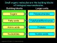 Small organic molecules are the building blocks of biological macromolecules PowerPoint PPT Presentation