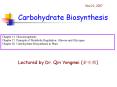 Carbohydrate Biosynthesis PowerPoint PPT Presentation