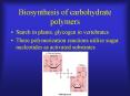 Biosynthesis of carbohydrate polymers PowerPoint PPT Presentation