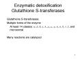 Glutathione Stransferases: PowerPoint PPT Presentation