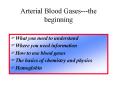 Arterial Blood Gasesthe beginning PowerPoint PPT Presentation