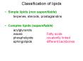 Classification of lipids PowerPoint PPT Presentation