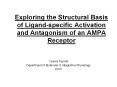 Exploring the Structural Basis of Ligand-specific Activation and Antagonism of an AMPA Receptor PowerPoint PPT Presentation