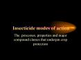 Insecticide modes of action PowerPoint PPT Presentation