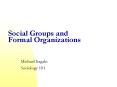 Social Groups and Formal Organizations PowerPoint PPT Presentation