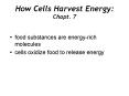How Cells Harvest Energy: Chapt. 7 PowerPoint PPT Presentation