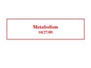 Metabolism 10/27/09