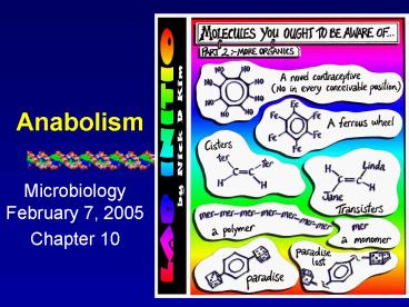 Anabolism