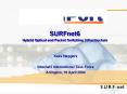 SURFnet6 Hybrid Optical and Packet Switching Infrastructure PowerPoint PPT Presentation