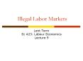 Illegal Labor Markets PowerPoint PPT Presentation
