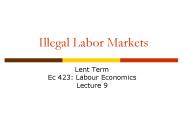 Illegal Labor Markets