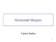Horizontal Mergers PowerPoint PPT Presentation