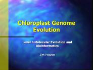 Chloroplast Genome Evolution