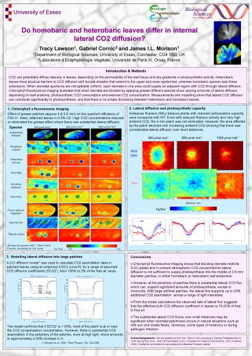 Poster on coconut wue for SEB Barcelona, 2005