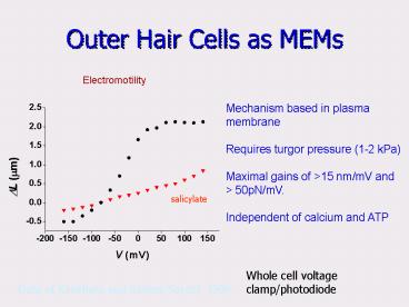 Outer Hair Cells as MEMs