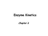 Enzyme Kinetics