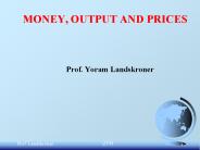 Prof. Yoram Landskroner