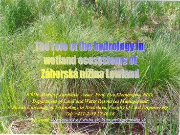 Prezentace%20aplikace%20PowerPoint