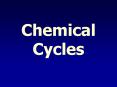 Chemical Cycles PowerPoint PPT Presentation