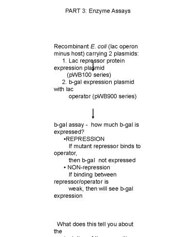 PART 3: Enzyme Assays