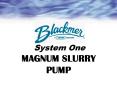 MAGNUM SLURRY PUMP PowerPoint PPT Presentation