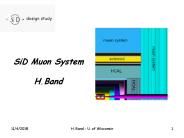 SiD Muon System H.Band