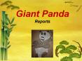 Giant Panda Reports PowerPoint PPT Presentation