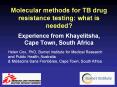 Molecular%20methods%20for%20TB%20drug%20resistance%20testing:%20what%20is%20needed?%20Experience%20from%20Khayelitsha,%20Cape%20Town,%20South%20Africa PowerPoint PPT Presentation