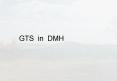 GTS in DMH PowerPoint PPT Presentation