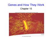 Genes and How They Work