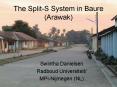 The Split-S System in Baure (Arawak) PowerPoint PPT Presentation