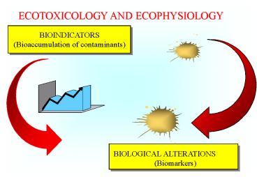 Nessun titolo diapositiva